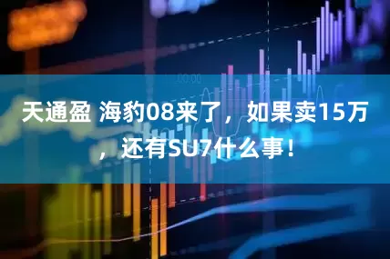 天通盈 海豹08来了,如果卖15万,还有SU7什么事!